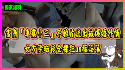 157 cover 富商「車震小三」不雅片流出被爆婚外情 女方除晒衫全裸狂un極淫蕩_工作區域 1